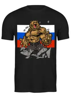 Заказать мужскую футболку в Москве. Футболка классическая Россия от T-shirt print  - готовые дизайны и нанесение принтов.
