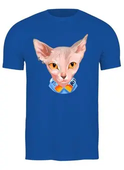 Заказать мужскую футболку в Москве. Футболка классическая Египетский котик от Print design  - готовые дизайны и нанесение принтов.