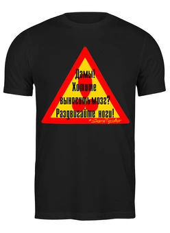 Футболка классическая