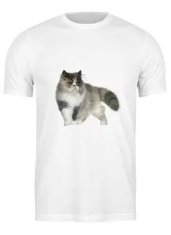 Заказать мужскую футболку в Москве. Футболка классическая котенок от THE_NISE  - готовые дизайны и нанесение принтов.