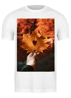 Заказать мужскую футболку в Москве. Футболка классическая Осень от FireFoxa - готовые дизайны и нанесение принтов.