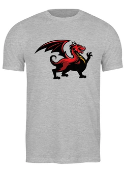 Заказать мужскую футболку в Москве. Футболка классическая Dragon от skynatural - готовые дизайны и нанесение принтов.