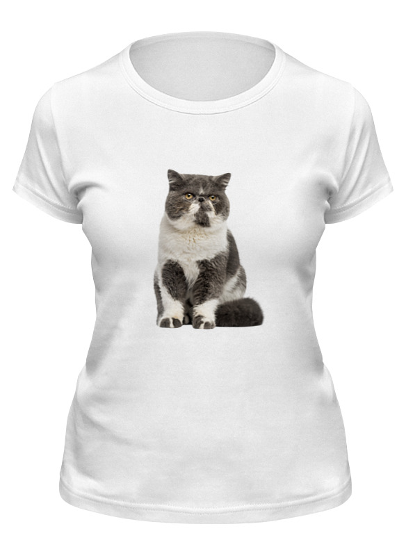 Printio Футболка классическая Котик