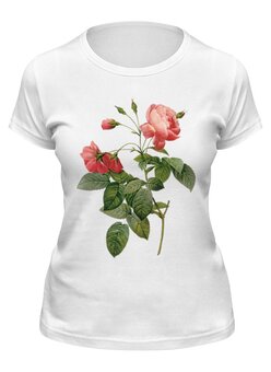 Заказать женскую футболку в Москве. Футболка классическая Розовые розы от Виктор Гришин - готовые дизайны и нанесение принтов.