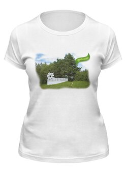 Футболка классическая