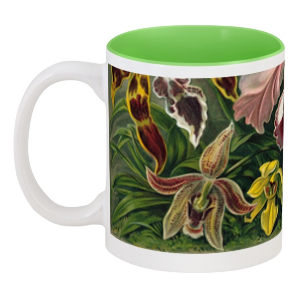 Printio Кружка цветная внутри Орхидеи (orchideae, ernst haeckel) кружка для чая пасхальный венок ева чашка с принтом пасхальный подарок любимой маме сестре подруге бабушке