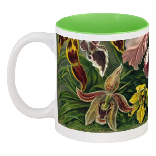 Заказать кружку в Москве. Кружка цветная внутри Орхидеи (Orchideae, Ernst Haeckel) от Apfelbaum - готовые дизайны и нанесение принтов.