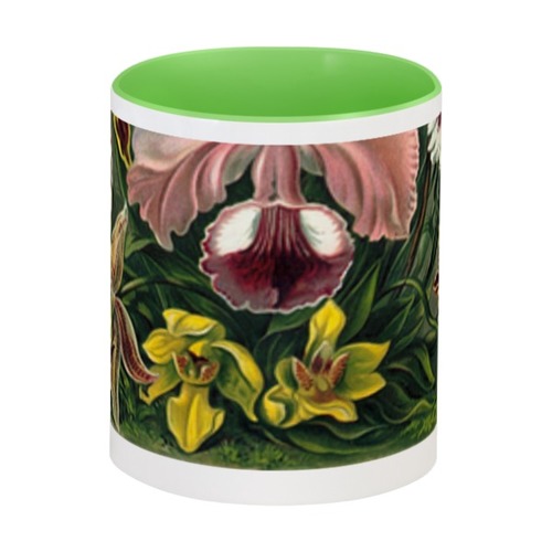 Заказать кружку в Москве. Кружка цветная внутри Орхидеи (Orchideae, Ernst Haeckel) от Apfelbaum - готовые дизайны и нанесение принтов.