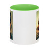 Заказать кружку в Москве. Кружка цветная внутри Лаура от Maria Solovyova - готовые дизайны и нанесение принтов.