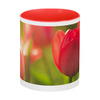 Заказать кружку в Москве. Кружка цветная внутри Тюльпаны от FireFoxa - готовые дизайны и нанесение принтов.