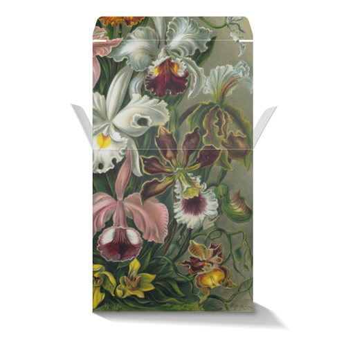Заказать подарочную упаковку в Москве. Коробка для кружек Орхидеи (Orchideae, Ernst Haeckel) от Apfelbaum - готовые дизайны и нанесение принтов.