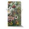 Заказать подарочную упаковку в Москве. Коробка для кружек Орхидеи (Orchideae, Ernst Haeckel) от Apfelbaum - готовые дизайны и нанесение принтов.