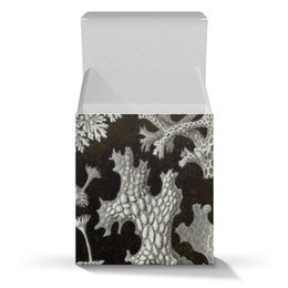 Заказать подарочную упаковку в Москве. Коробка для кружек Лишайники (Lichenes, Ernst Haeckel) от Apfelbaum - готовые дизайны и нанесение принтов.