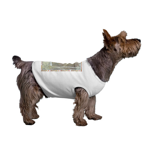 Заказать футболки для собак в Москве. Футболка для собак Василиса от Soluvel  - готовые дизайны и нанесение принтов.