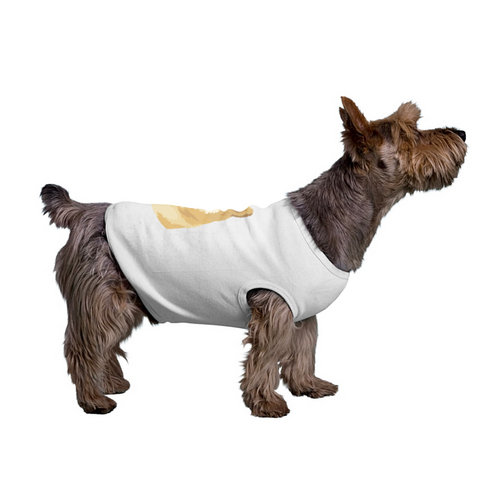 Заказать футболки для собак в Москве. Футболка для собак Doge  от Jimmy Flash - готовые дизайны и нанесение принтов.