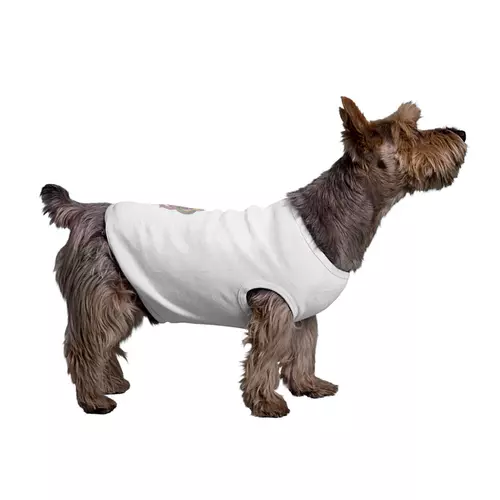 Заказать футболки для собак в Москве. Футболка для собак Фрукт Дракон от Irinakn - готовые дизайны и нанесение принтов.