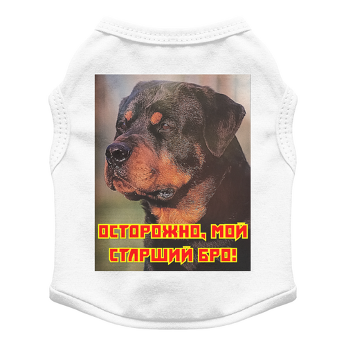 Заказать футболки для собак в Москве. Футболка для собак Мистер внушительный. от Eva De Peron.  - готовые дизайны и нанесение принтов.
