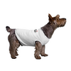 Заказать футболки для собак в Москве. Футболка для собак Мне Можно Все от MariYang  - готовые дизайны и нанесение принтов.