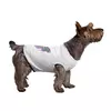 Заказать футболки для собак в Москве. Футболка для собак Девочка Дракоша от Irinakn - готовые дизайны и нанесение принтов.