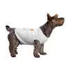 Заказать футболки для собак в Москве. Футболка для собак Милый песик от shop.ellidi.ru  - готовые дизайны и нанесение принтов.