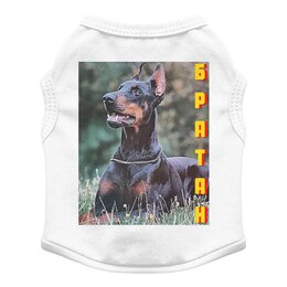 Заказать футболки для собак в Москве. Футболка для собак Братан. от Eva De Peron.  - готовые дизайны и нанесение принтов.