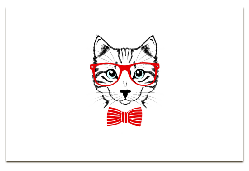 Printio Визитная Карточка Евро Кошка printio визитная карточка кошка в маске