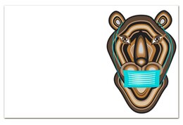 Заказать визитки в Москве. Визитная карточка "Евро" Тигр в маске от Stil na yarkosti - готовые дизайны и нанесение принтов.