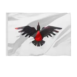 Заказать флаг в Москве. Флаг 135x90 см Blood Ravens от GeekFox  - готовые дизайны и нанесение принтов.