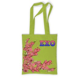 Заказать сумку в Москве. Сумка с полной запечаткой EXO красные цветы от nionilla - готовые дизайны и нанесение принтов.
