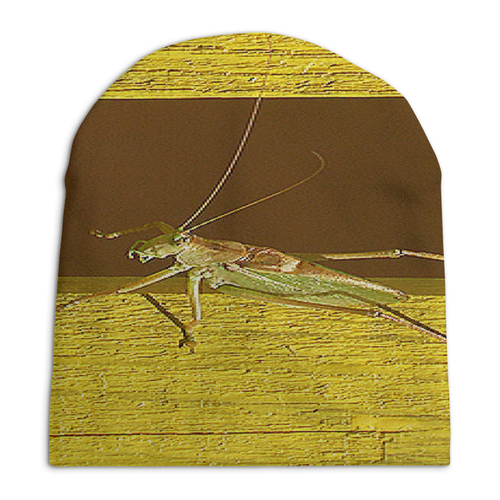 Заказать головной убор в Москве. Шапка унисекс с полной запечаткой Саранча. от Eva De Peron.  - готовые дизайны и нанесение принтов.