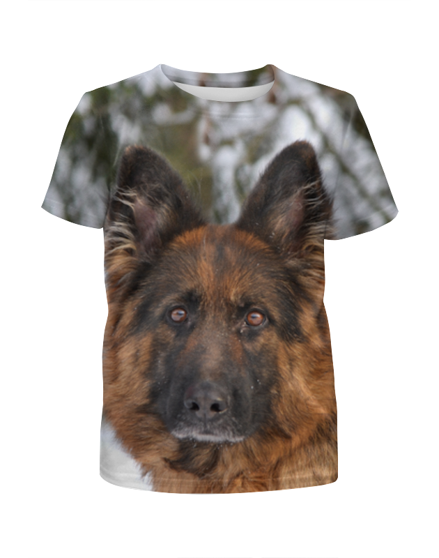 Printio Футболка с полной запечаткой для мальчиков Зимний пес printio футболка с полной запечаткой для мальчиков мульт пес собака