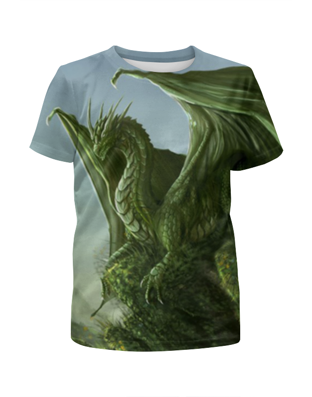 Printio Футболка с полной запечаткой для мальчиков Дракон printio футболка с полной запечаткой для мальчиков дракон ветер