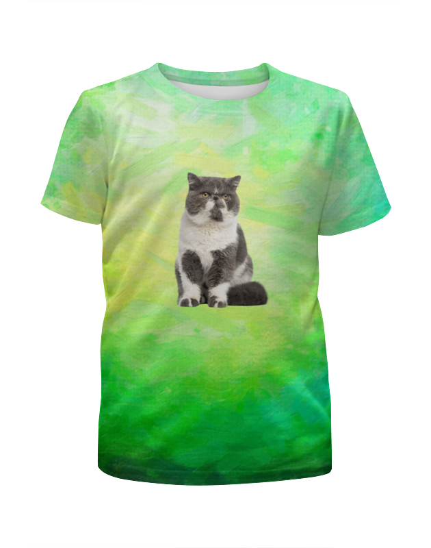 Printio Футболка с полной запечаткой для мальчиков Котик printio футболка с полной запечаткой для мальчиков котик с котиком