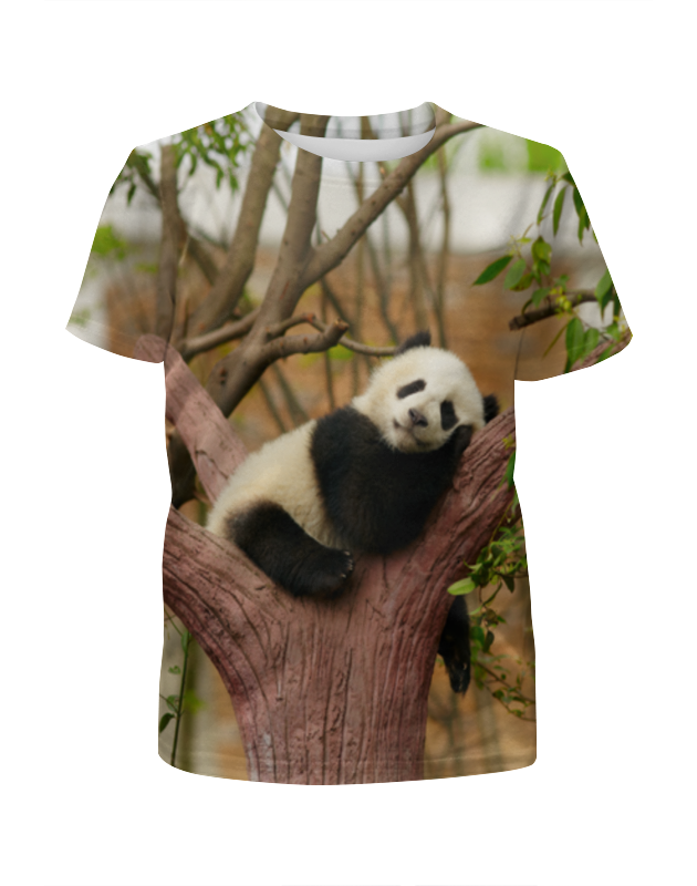Printio Футболка с полной запечаткой для мальчиков Панда printio футболка с полной запечаткой для мальчиков влюбленная панда