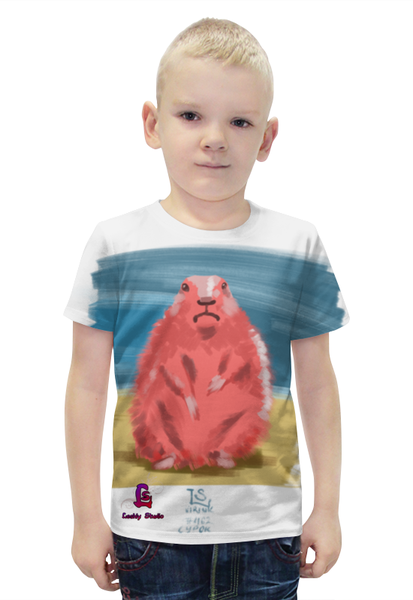 Заказать детскую футболку в Москве. Футболка с полной запечаткой для мальчиков Сурок от LeshiyStudio - готовые дизайны и нанесение принтов.