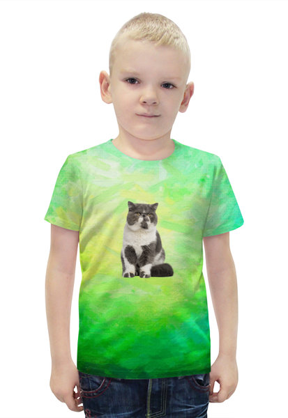 Заказать детскую футболку в Москве. Футболка с полной запечаткой для мальчиков Котик  от THE_NISE  - готовые дизайны и нанесение принтов.