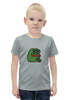 Заказать детскую футболку в Москве. Футболка с полной запечаткой для мальчиков Лягушка от THE_NISE  - готовые дизайны и нанесение принтов.