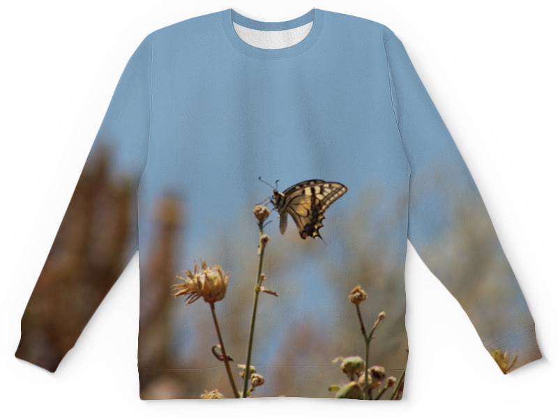 Printio Детский свитшот с полной запечаткой Бабочка махаон printio футболка с полной запечаткой женская бабочка махаон