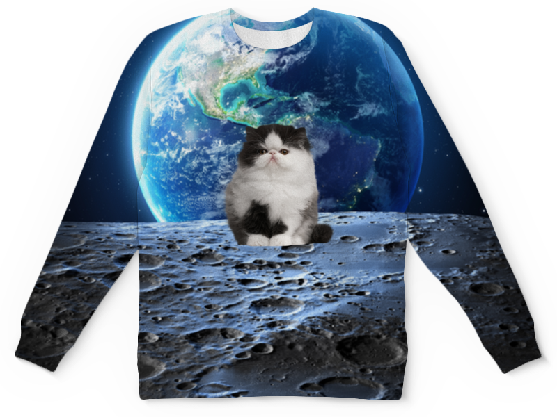 Printio Детский свитшот с полной запечаткой Кот в космосе