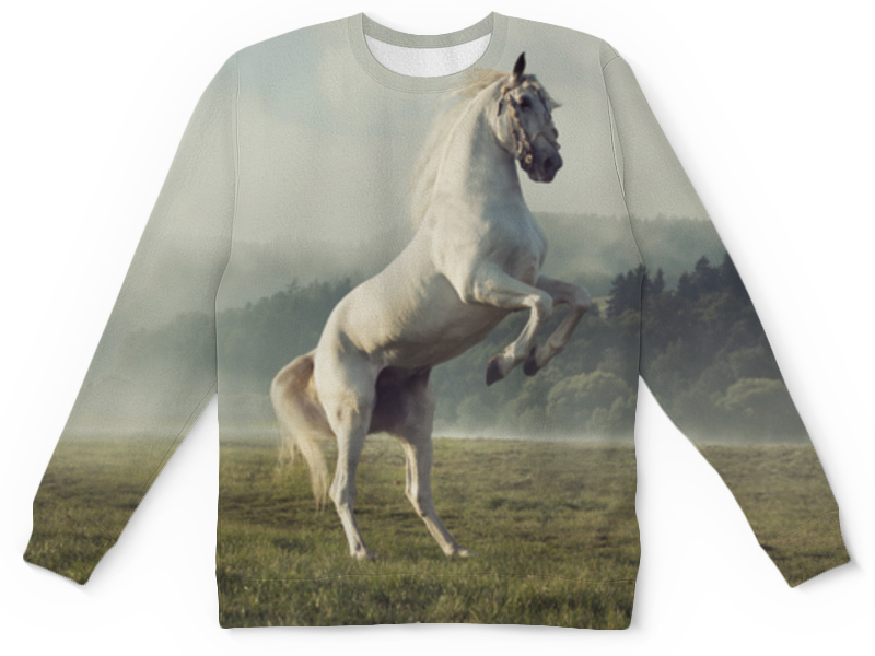 Printio Детский свитшот с полной запечаткой Лошадь printio свитшот мужской с полной запечаткой лошадь