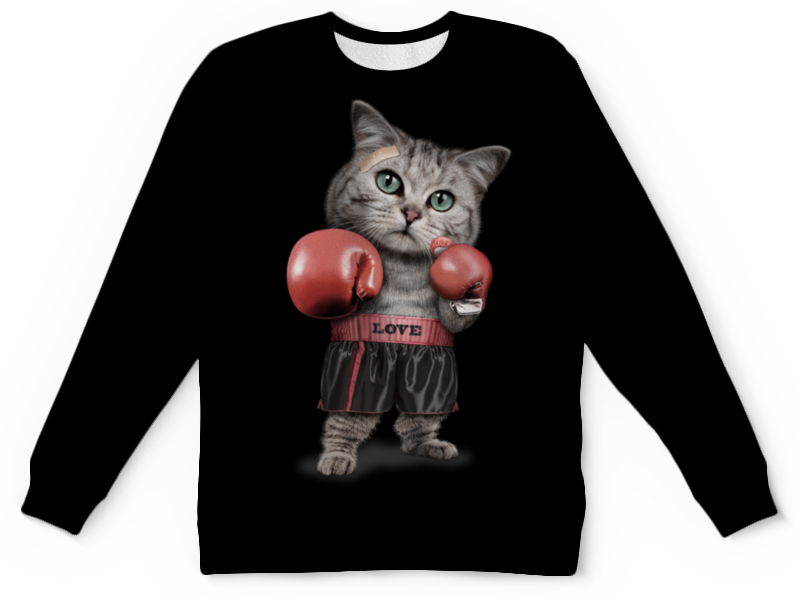 Printio Детский свитшот с полной запечаткой Кот боксёр printio детский свитшот с полной запечаткой хитрый кот