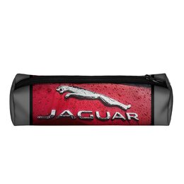 Заказать пенал в Москве. Пенал 3D Jaguar. от Eva De Peron.  - готовые дизайны и нанесение принтов.