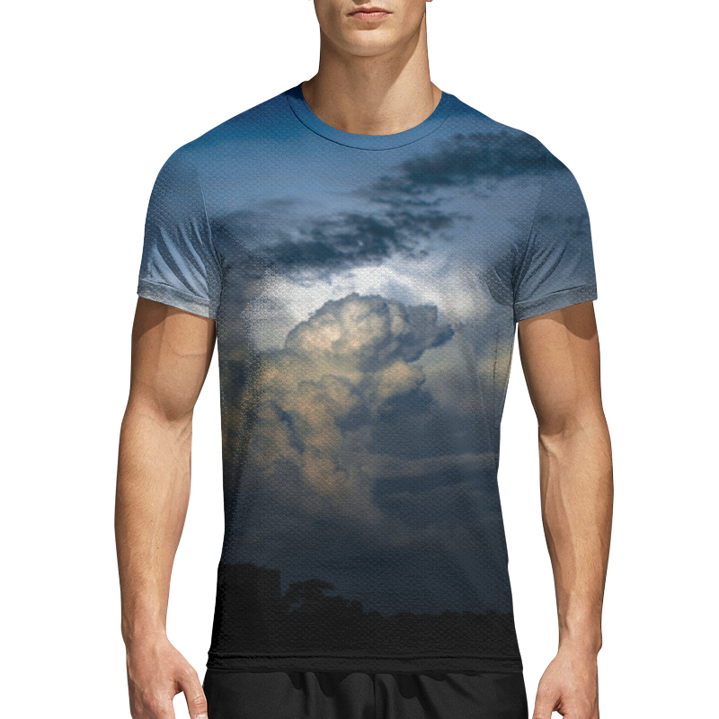 фотошторы в лучах заката ш150xв295 см 2шт атлас на тесьме Printio Спортивная футболка 3D Облачный лев