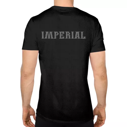 Заказать спортивные футболки в Москве. Спортивная футболка 3D Коллекция imperial sport от inna144144@mail.ru - готовые дизайны и нанесение принтов.