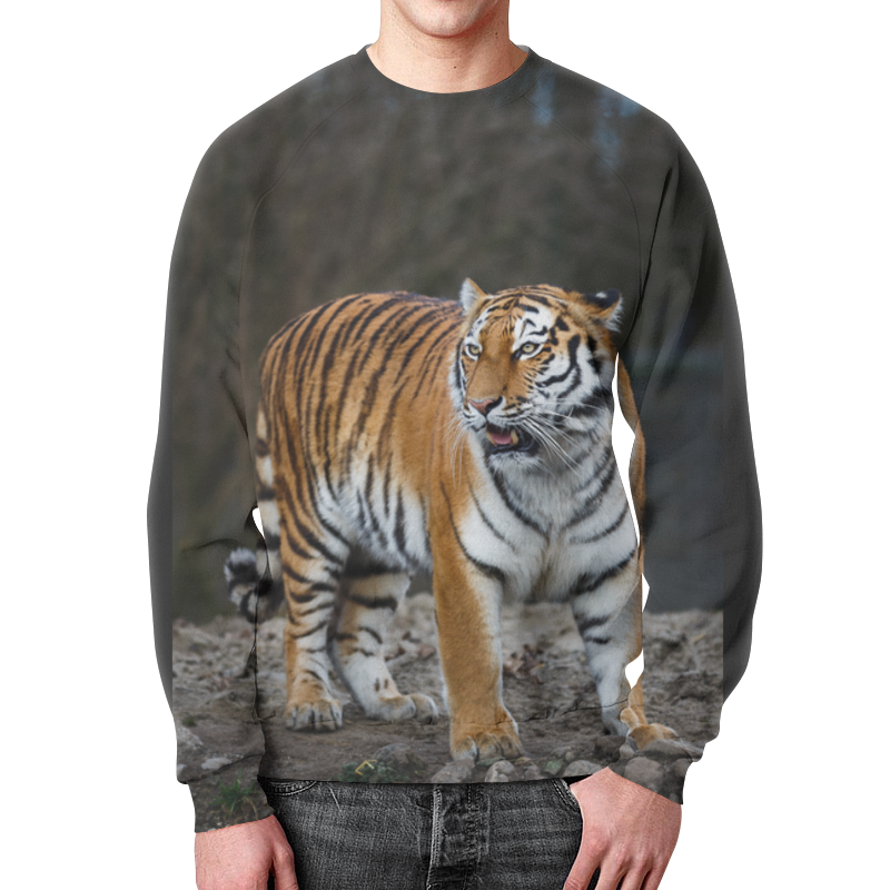 Printio Свитшот мужской с полной запечаткой Свирепый тигр printio футболка с полной запечаткой для мальчиков свирепый тигр