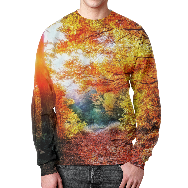 Printio Свитшот мужской с полной запечаткой Осенний пейзаж printio свитшот мужской с полной запечаткой осенний лес