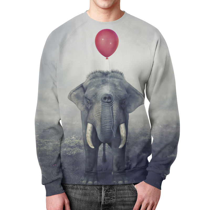 Printio Свитшот мужской с полной запечаткой Красный шар и слон printio футболка с полной запечаткой мужская красный шар и слон