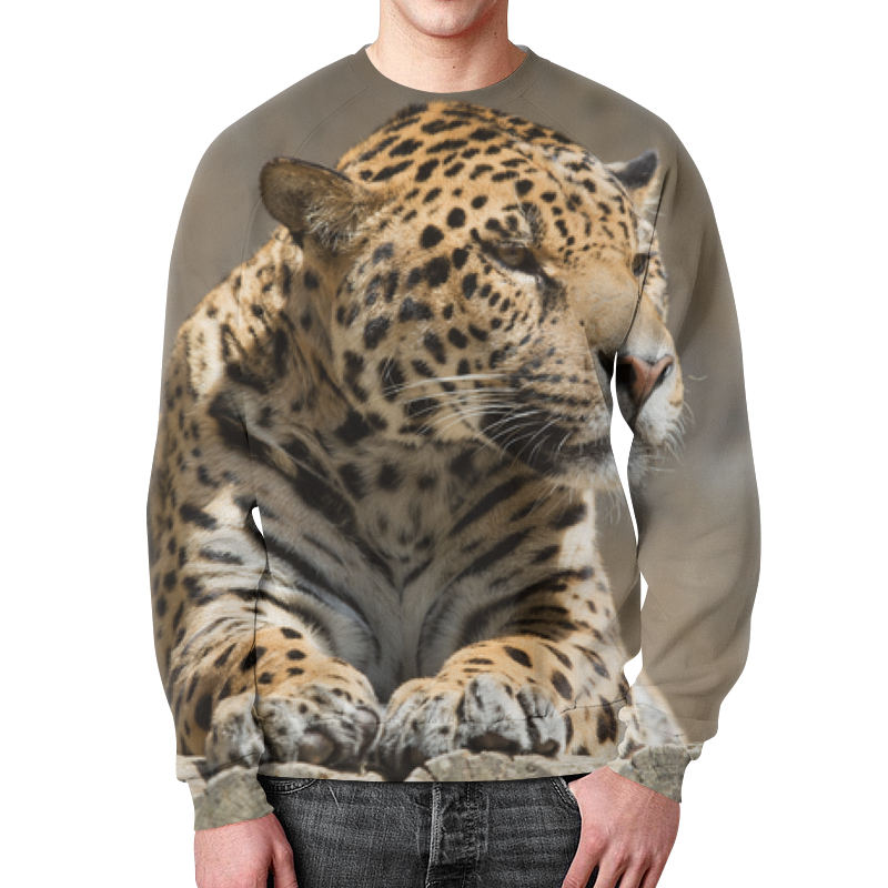 Printio Свитшот мужской с полной запечаткой Леопард printio свитшот мужской с полной запечаткой леопард