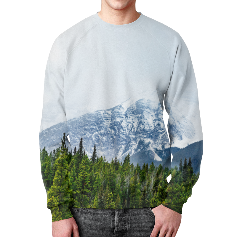 Printio Свитшот мужской с полной запечаткой Ледяная гора printio футболка с полной запечаткой для мальчиков ледяная гора