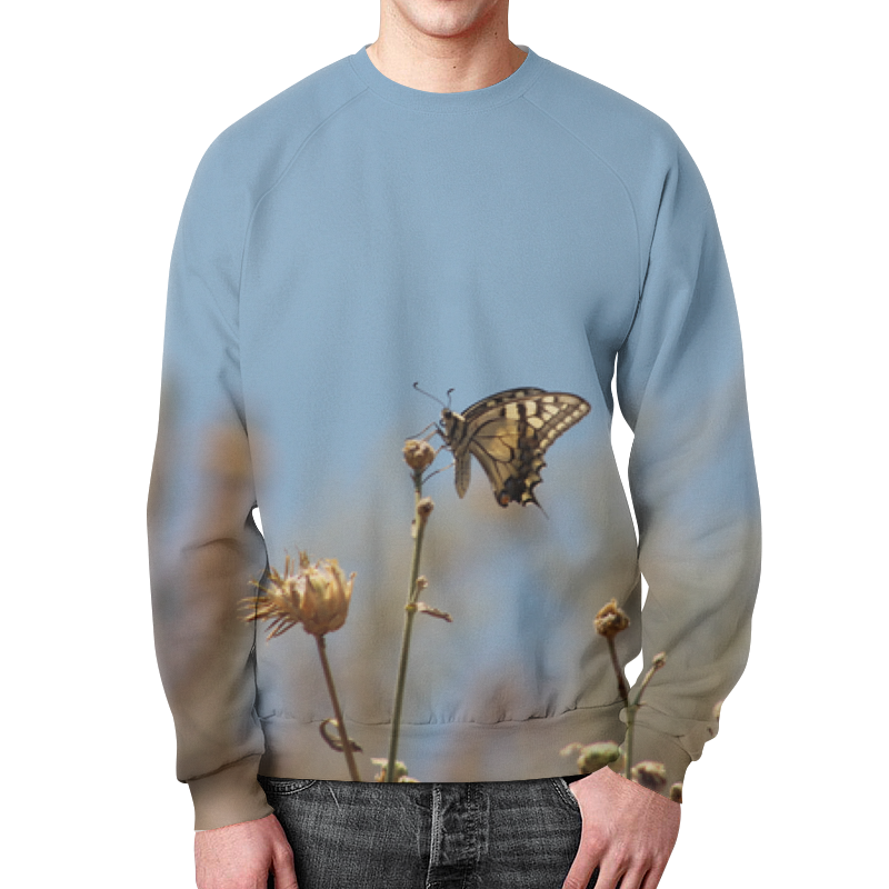 Printio Свитшот мужской с полной запечаткой Бабочка махаон printio футболка с полной запечаткой женская бабочка махаон
